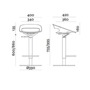 Tribeca shankerica përmasat