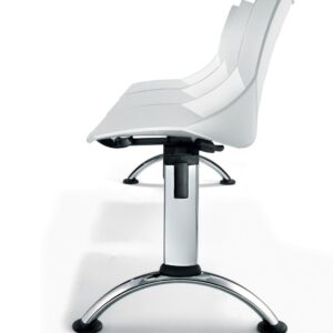 Cerantola Shell Benches